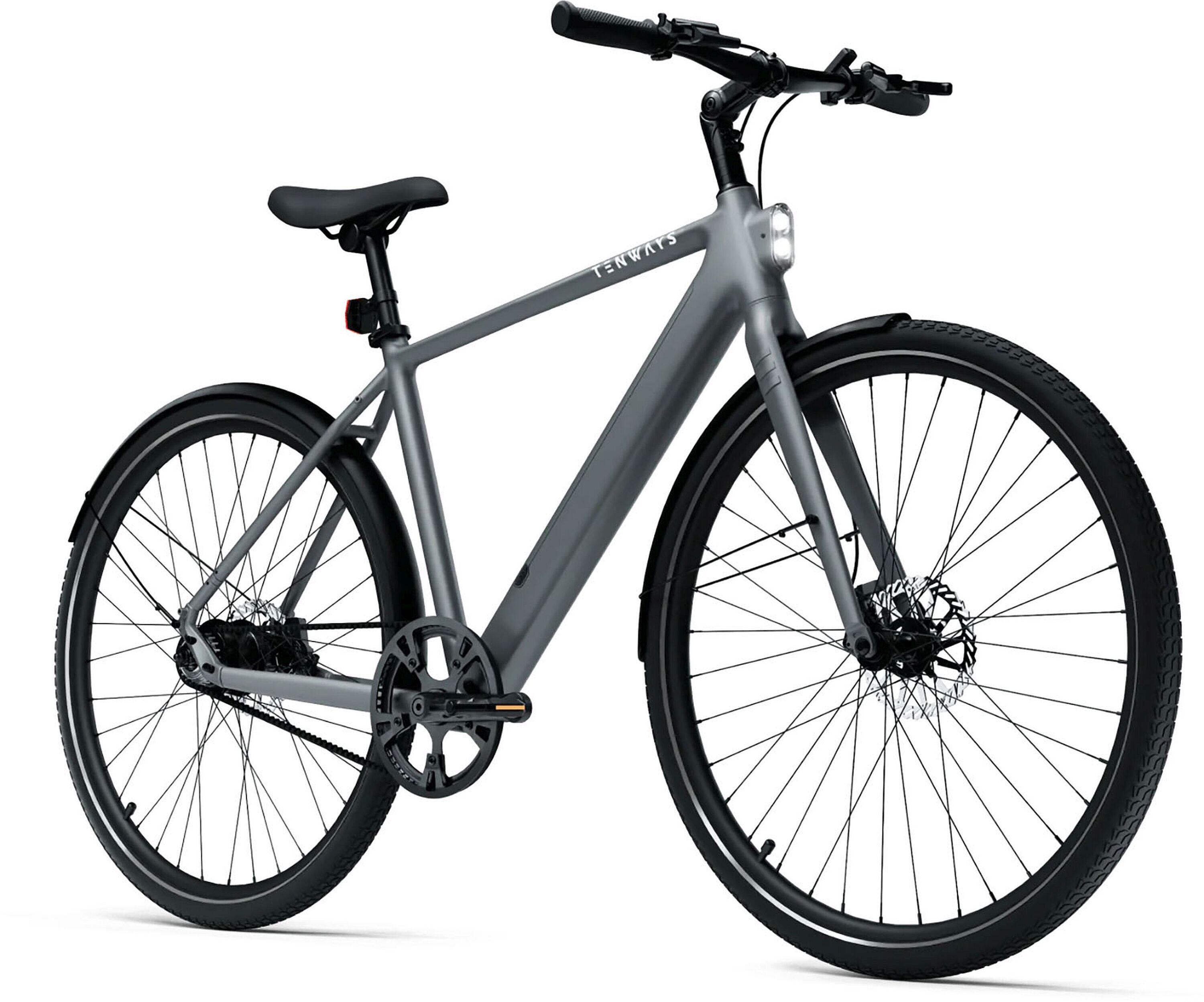 Elektro-Citybike E-Urban CGO600PRO l, silber 2/3