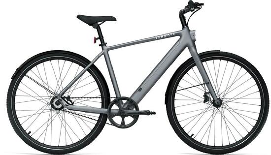 Elektro-Citybike E-Urban CGO600PRO l, silber