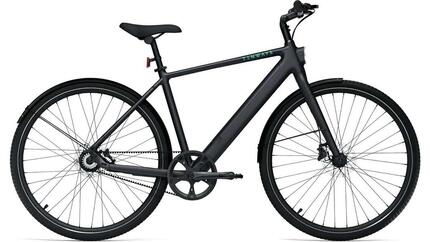 Elektro-Citybike E-Urban CGO600PRO l, schwarz