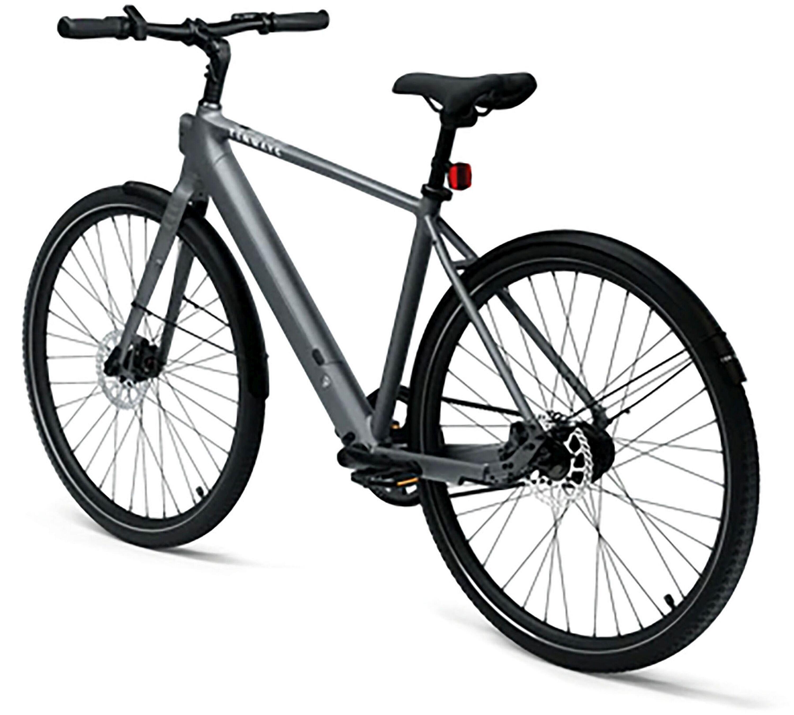 Elektro-Citybike E-Urban CGO600PRO l, silber 3/3