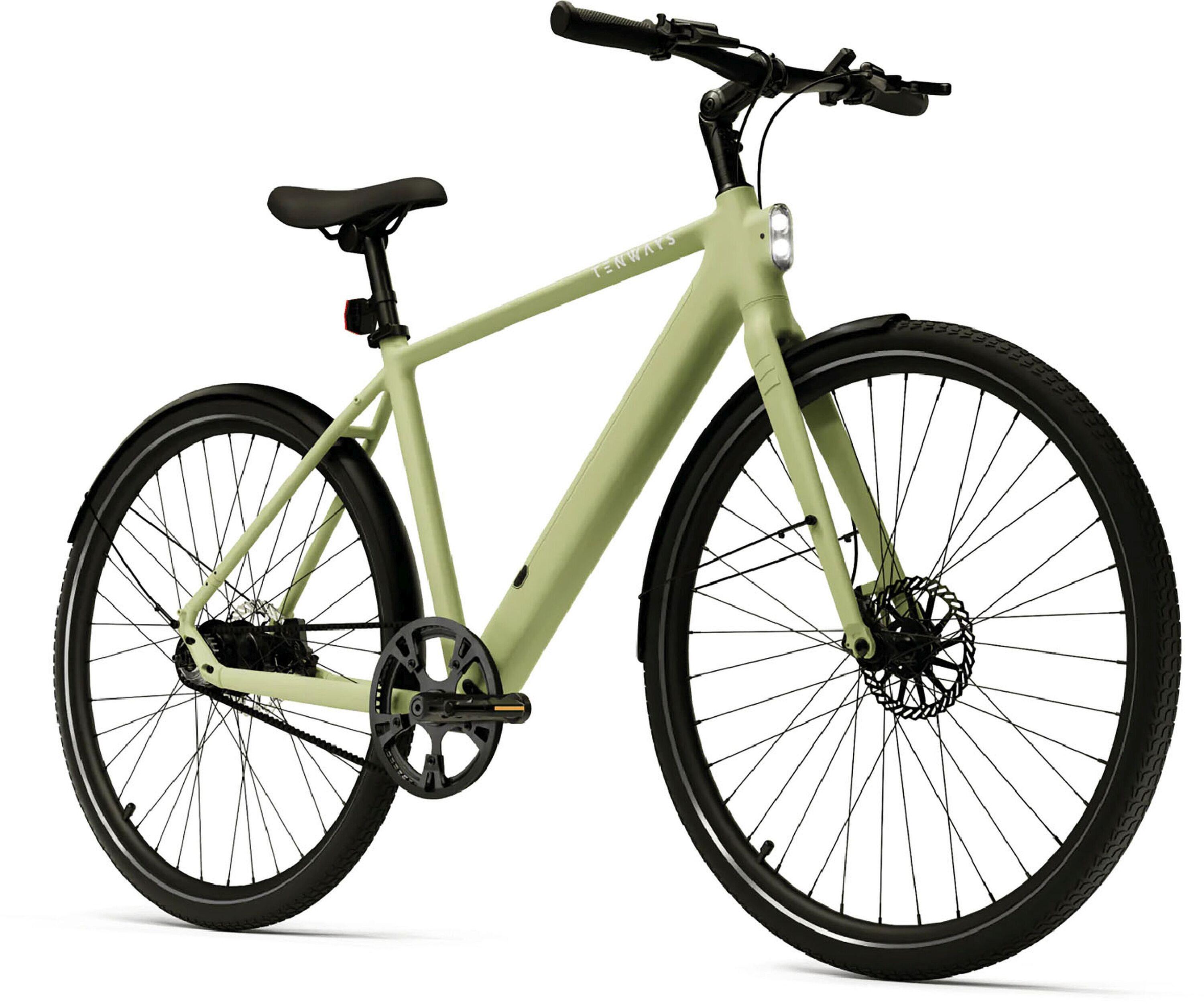 Elektro-Citybike E-Urban CGO600PRO l, grün 2/5