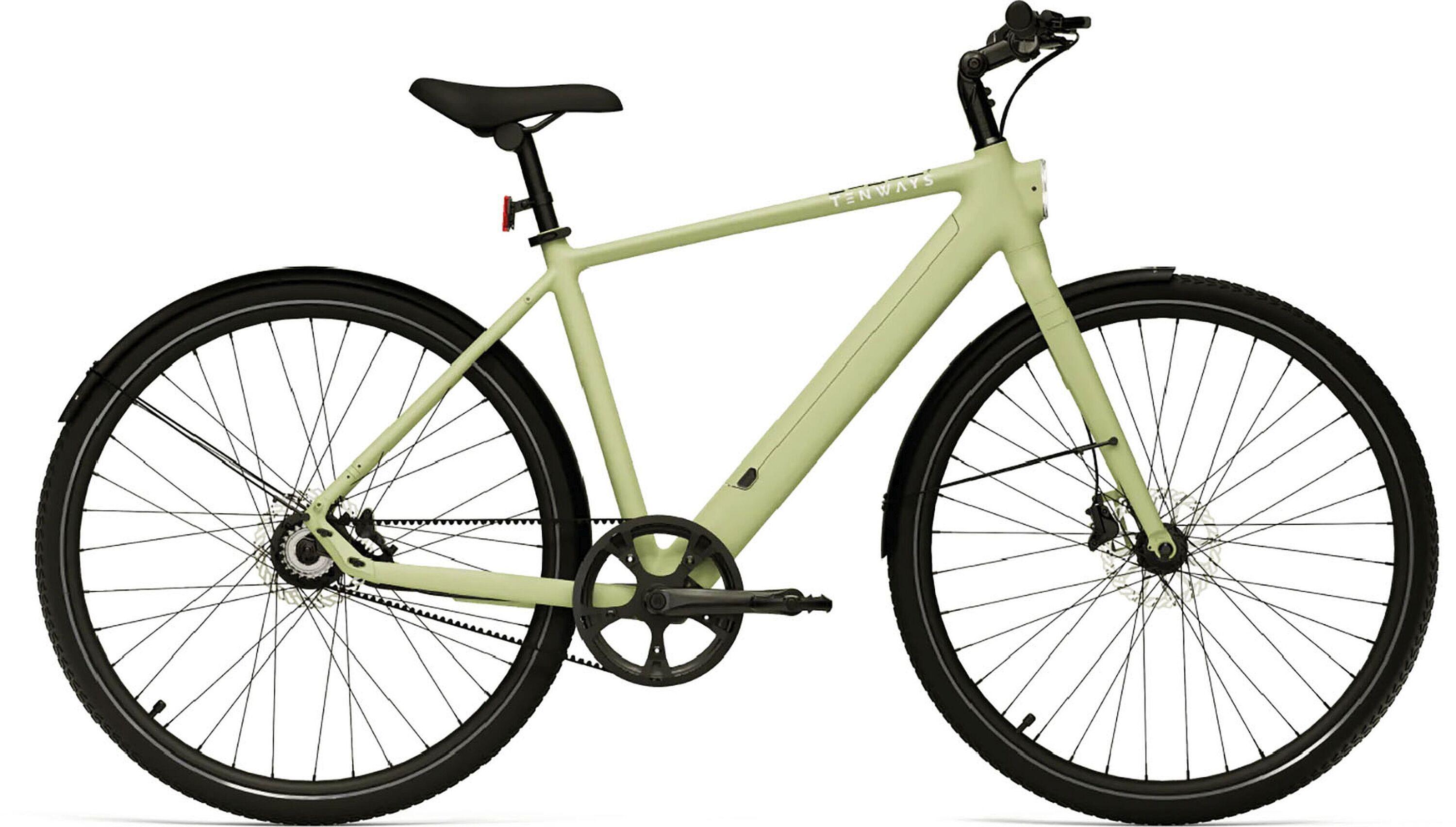 TENWAYS Elektro-Citybike E-Urban CGO600PRO l, grün