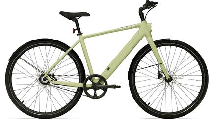 Elektro-Citybike E-Urban CGO600PRO l, grün