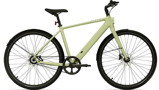 Elektro-Citybike E-Urban CGO600PRO l, grün