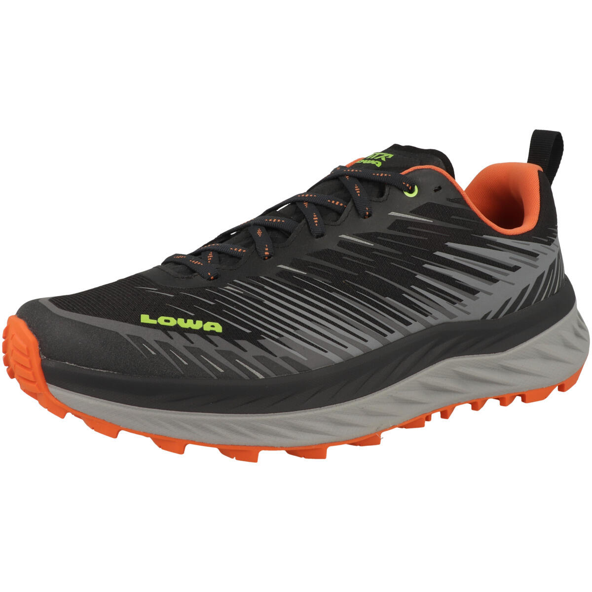 Buty trekkingowe męskie Lowa Fortux 4/6