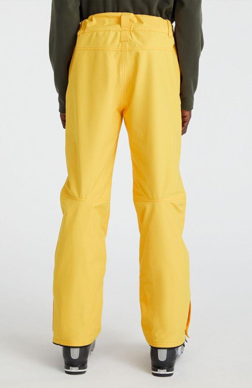 O'NEILL O'neill Pantalons Hammer Pants  Hommes Luminous Days 4/5