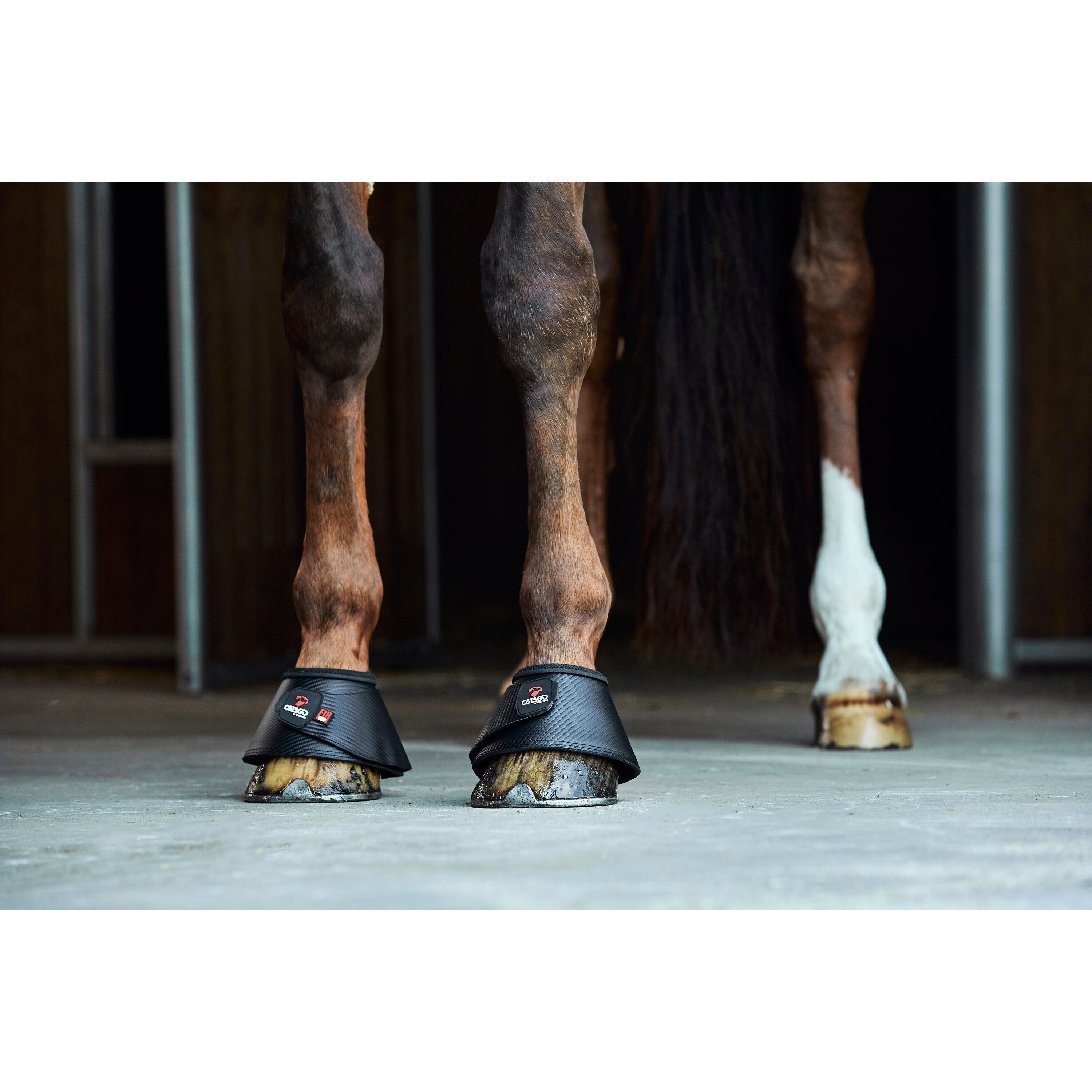 Cloches pour cheval Catago FIR-Tech 2/2