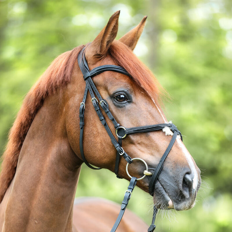 Mexican anatomic riding bridle Kavalkade Everado