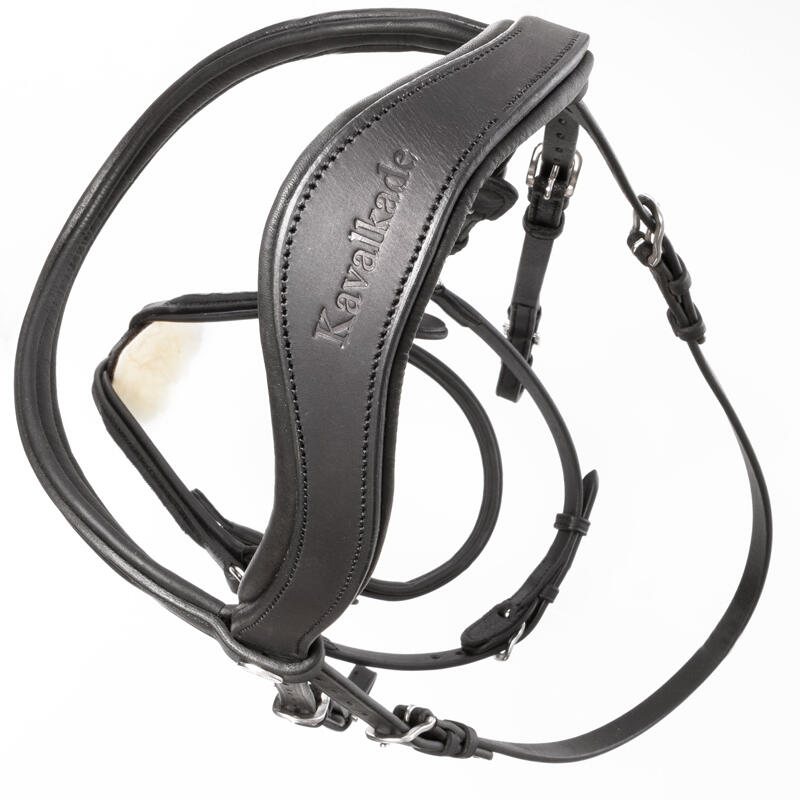 Mexican anatomic riding bridle Kavalkade Everado