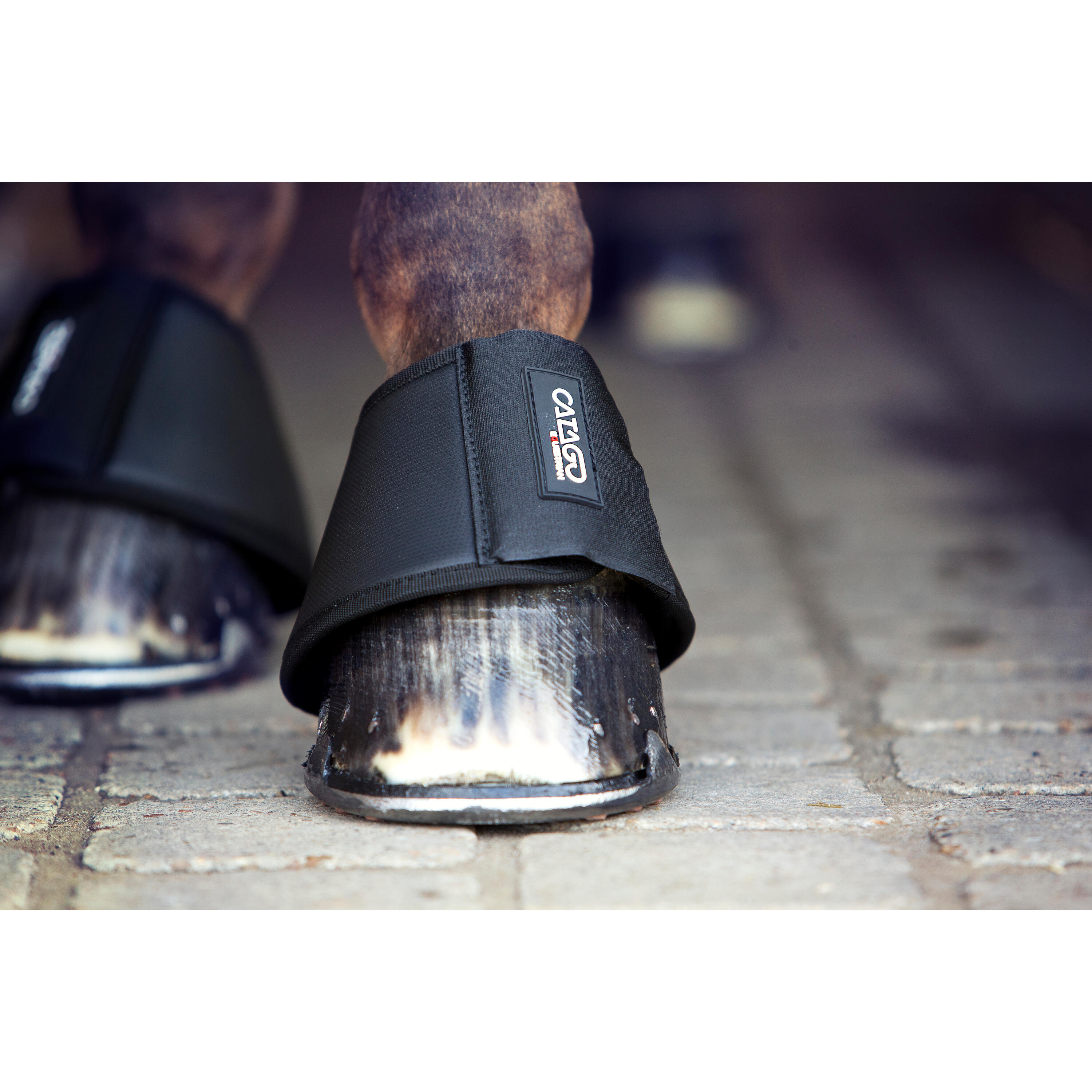 Geschlossene Premium-Hufglocken Catago 2/2