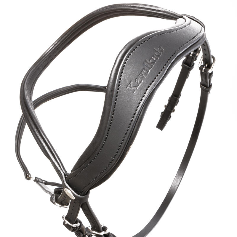 Anatomical Hanoverian bridle Kavalkade Everado