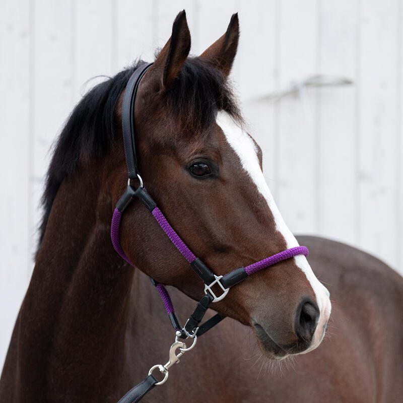 Licol pour cheval en cuir avec corde Kavalkade Cavo