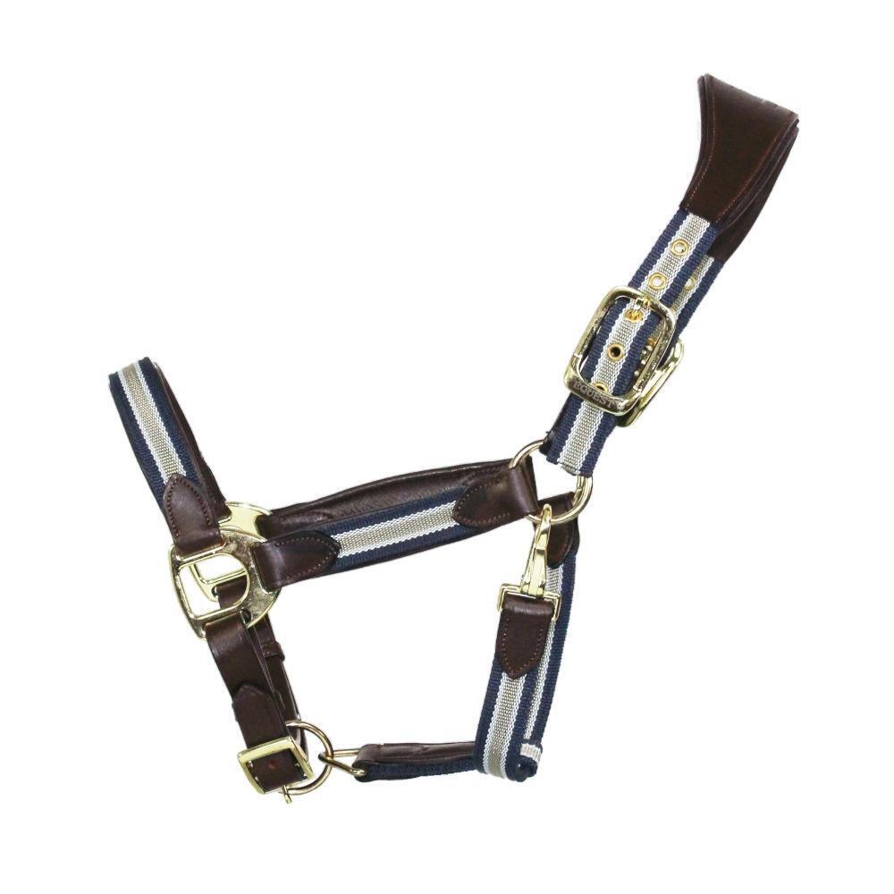 Horse Halter with EQuest Unique Brass Finish