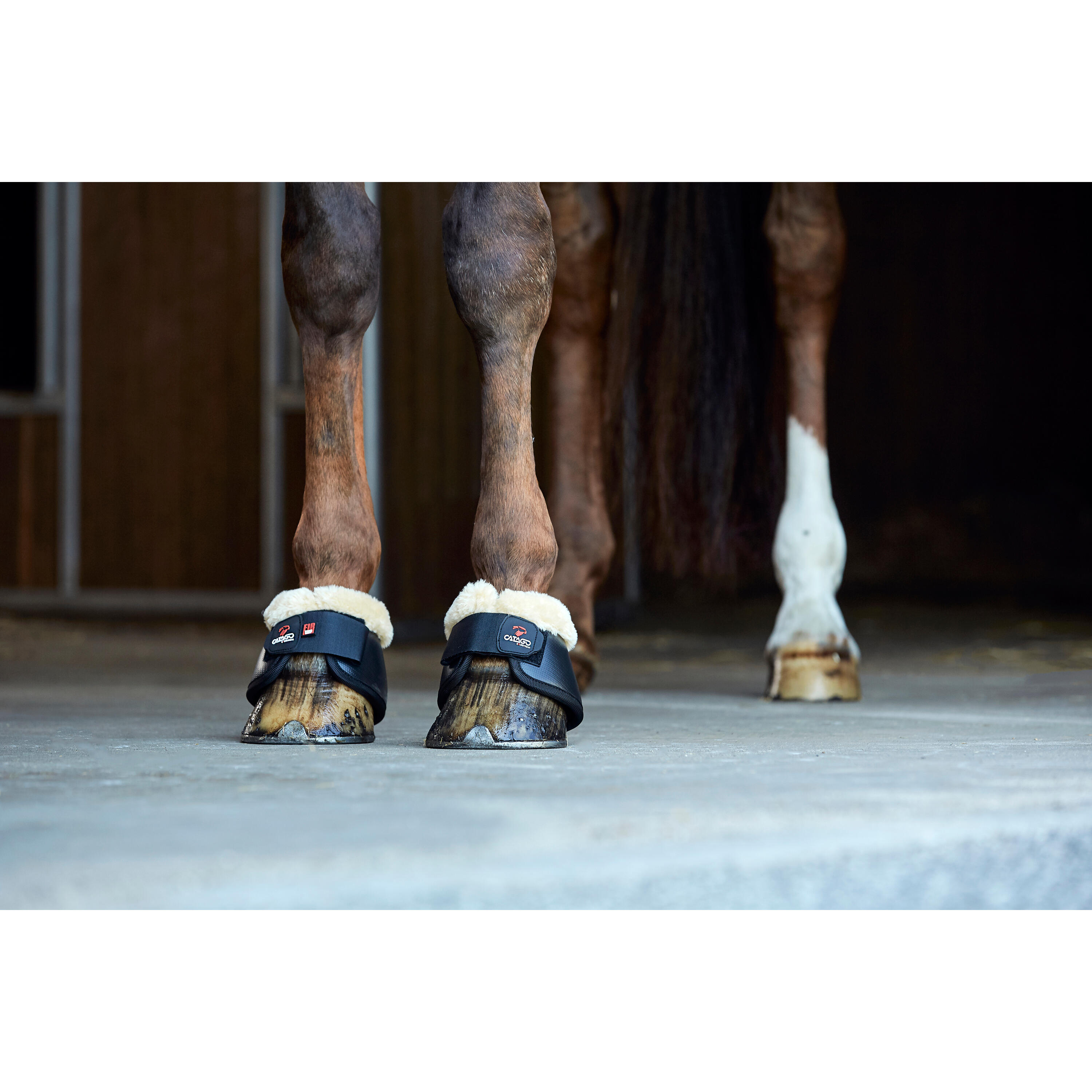 Cloches pour cheval avec fausse fourrure Catago FIR-Tech 2/2