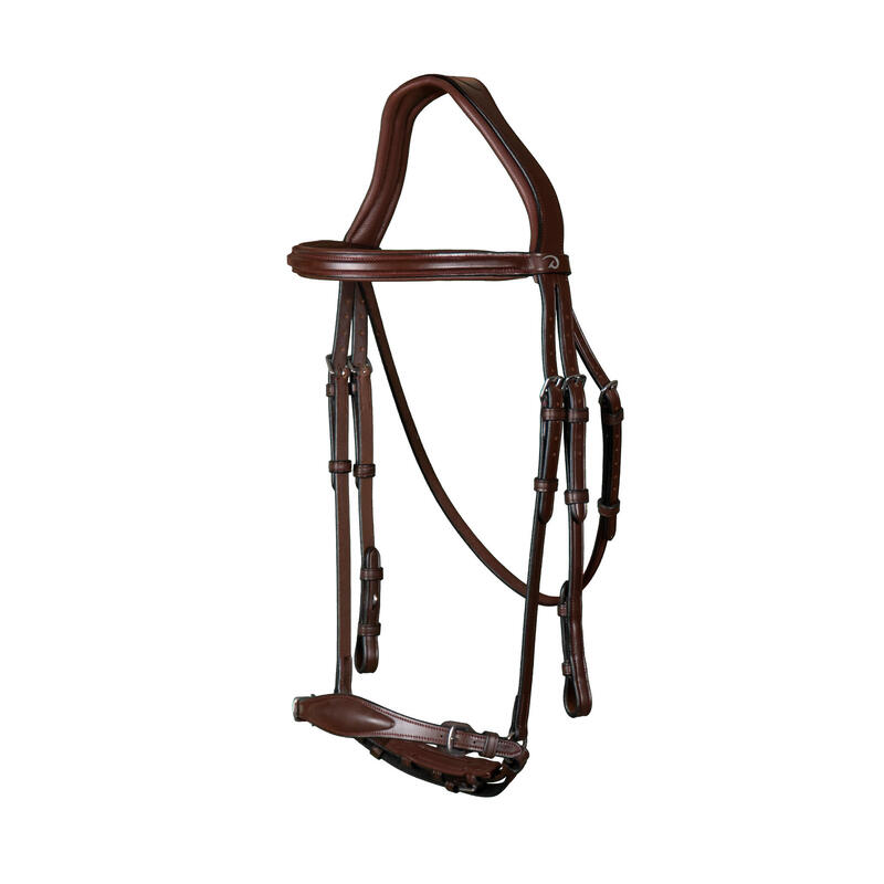 Bridon équitation anatomique muserolle adjustable Dyon