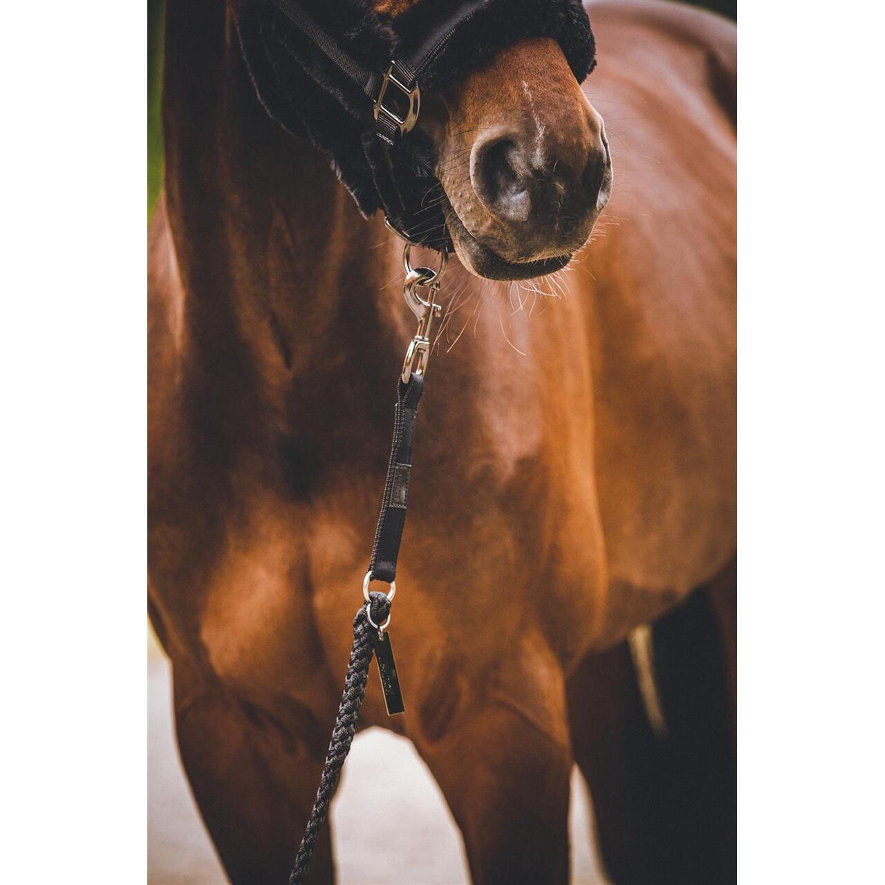 EQuest Legend riding lanyard