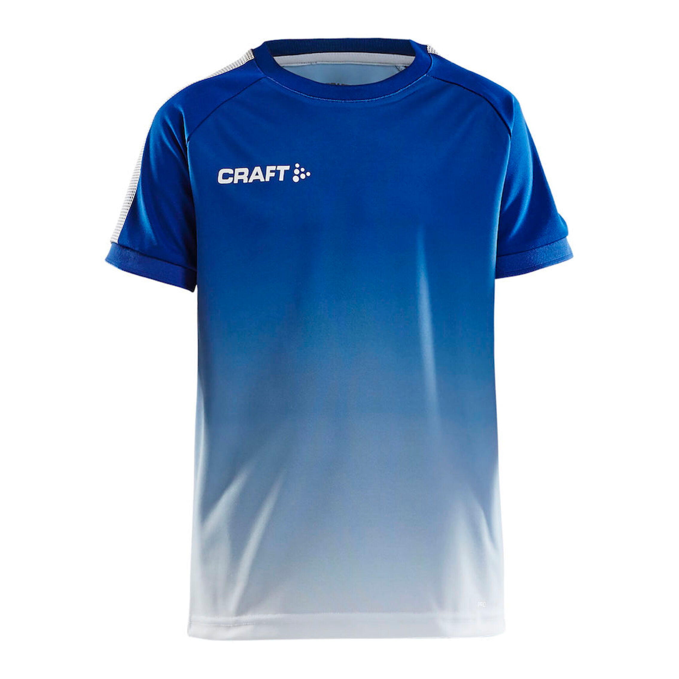 CRAFT picture