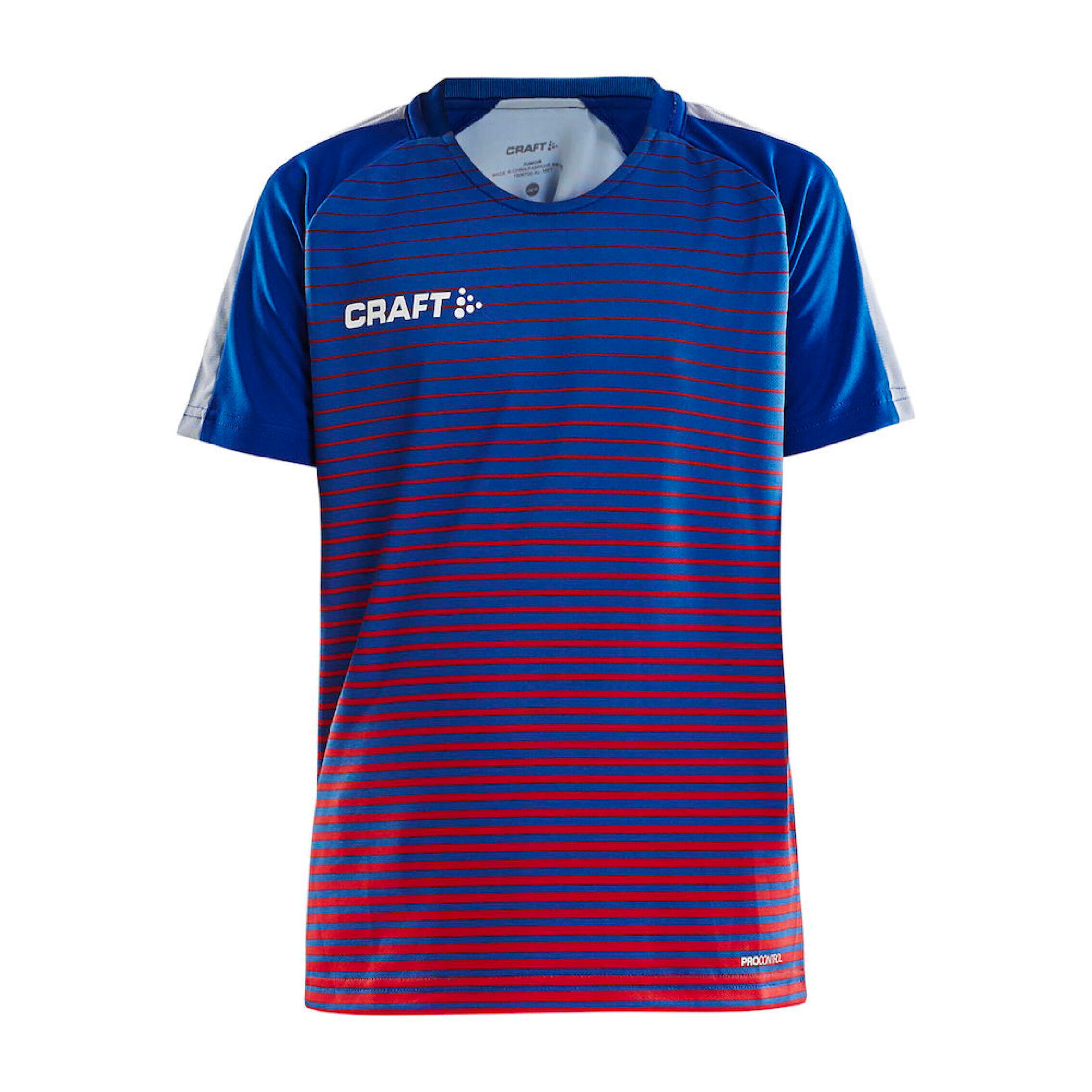 CRAFT picture