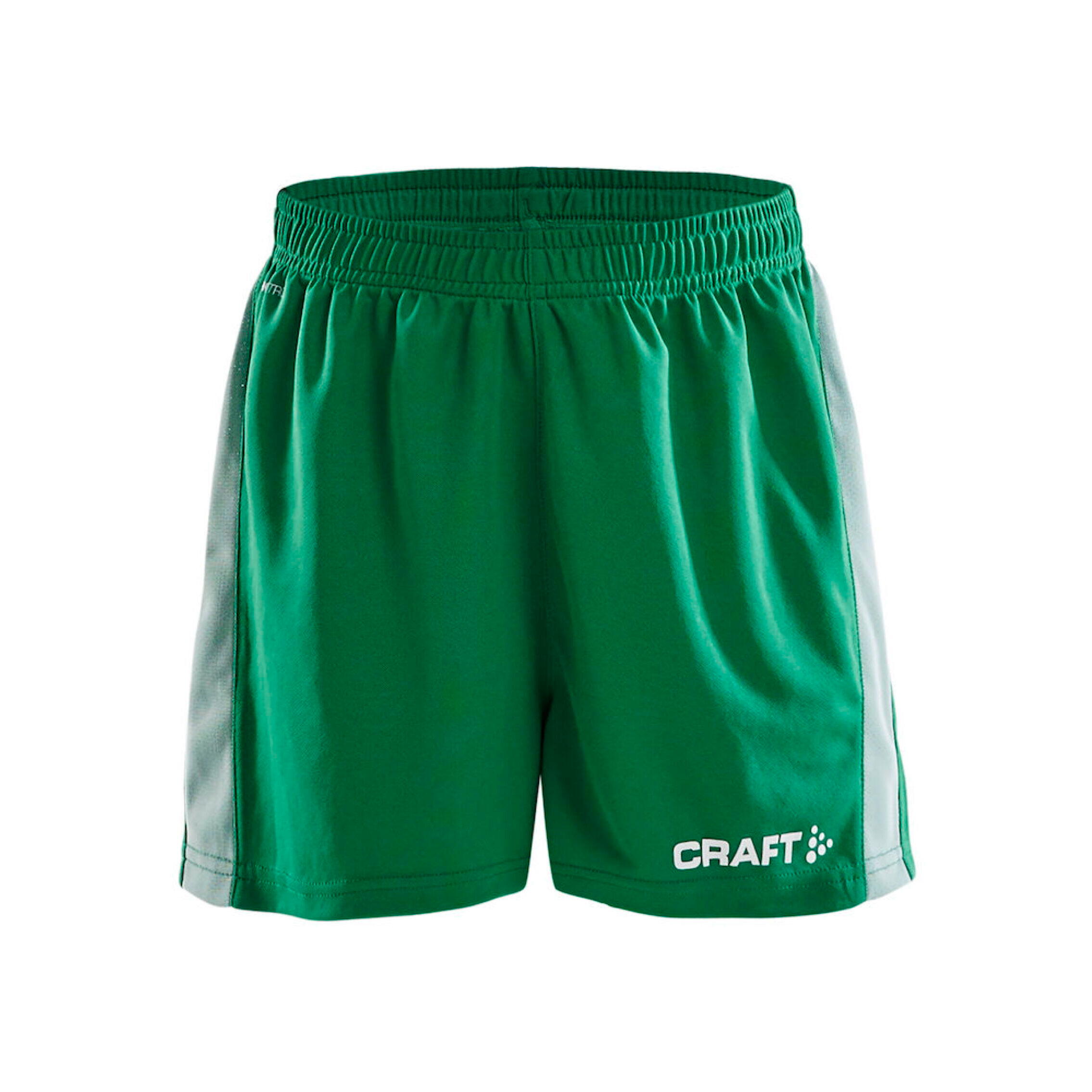 CRAFT picture