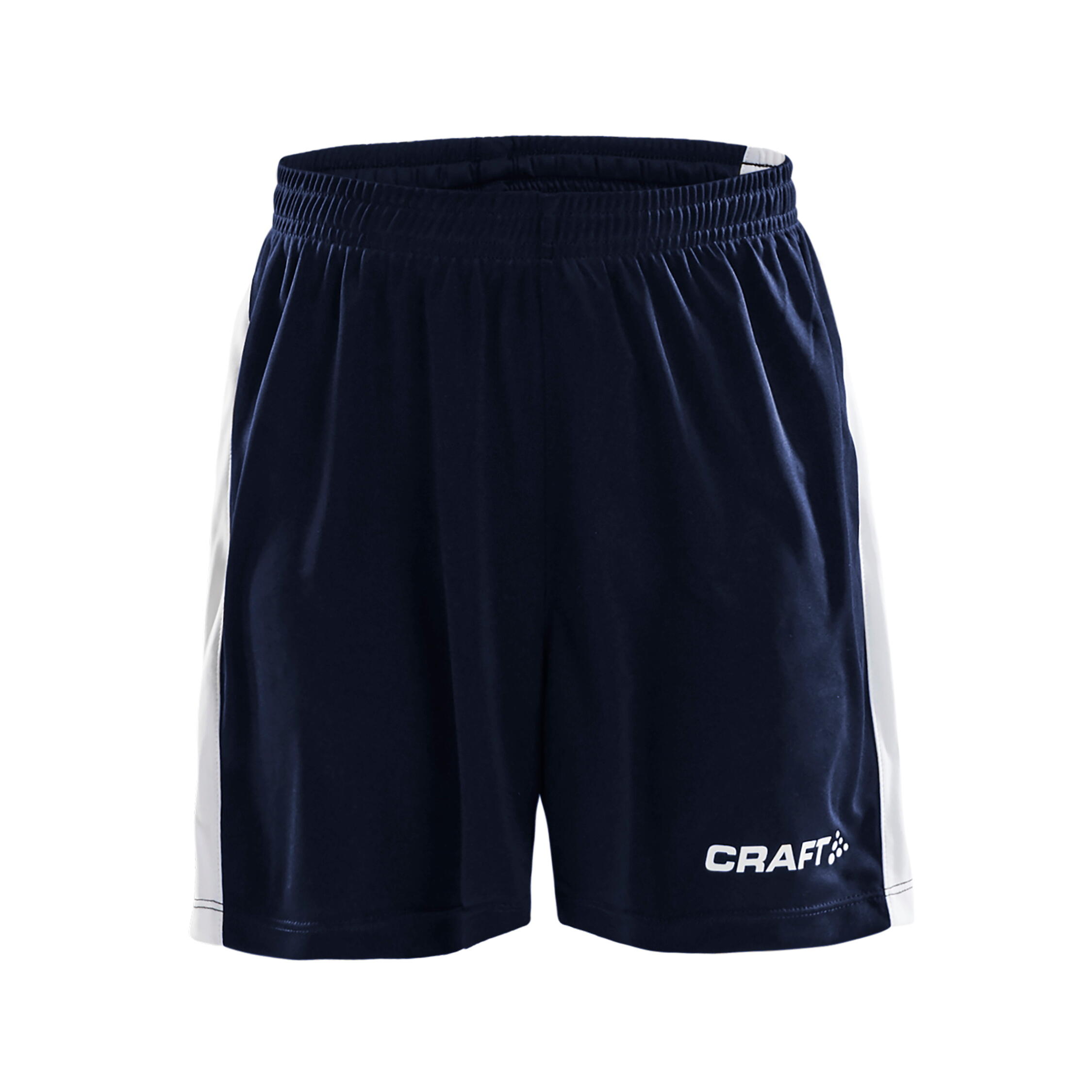 CRAFT picture