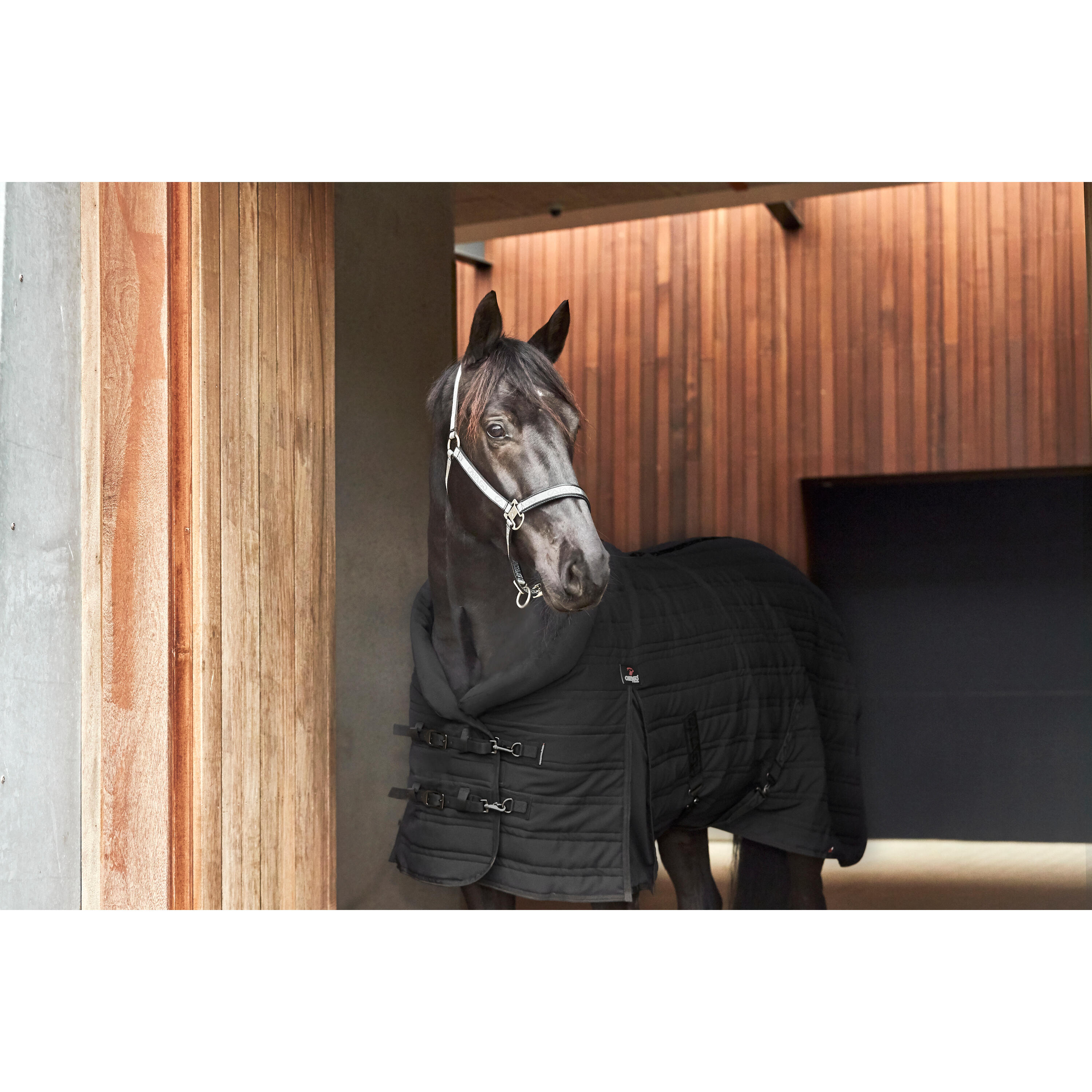 Stalldecke Catago Hybrid 3/3