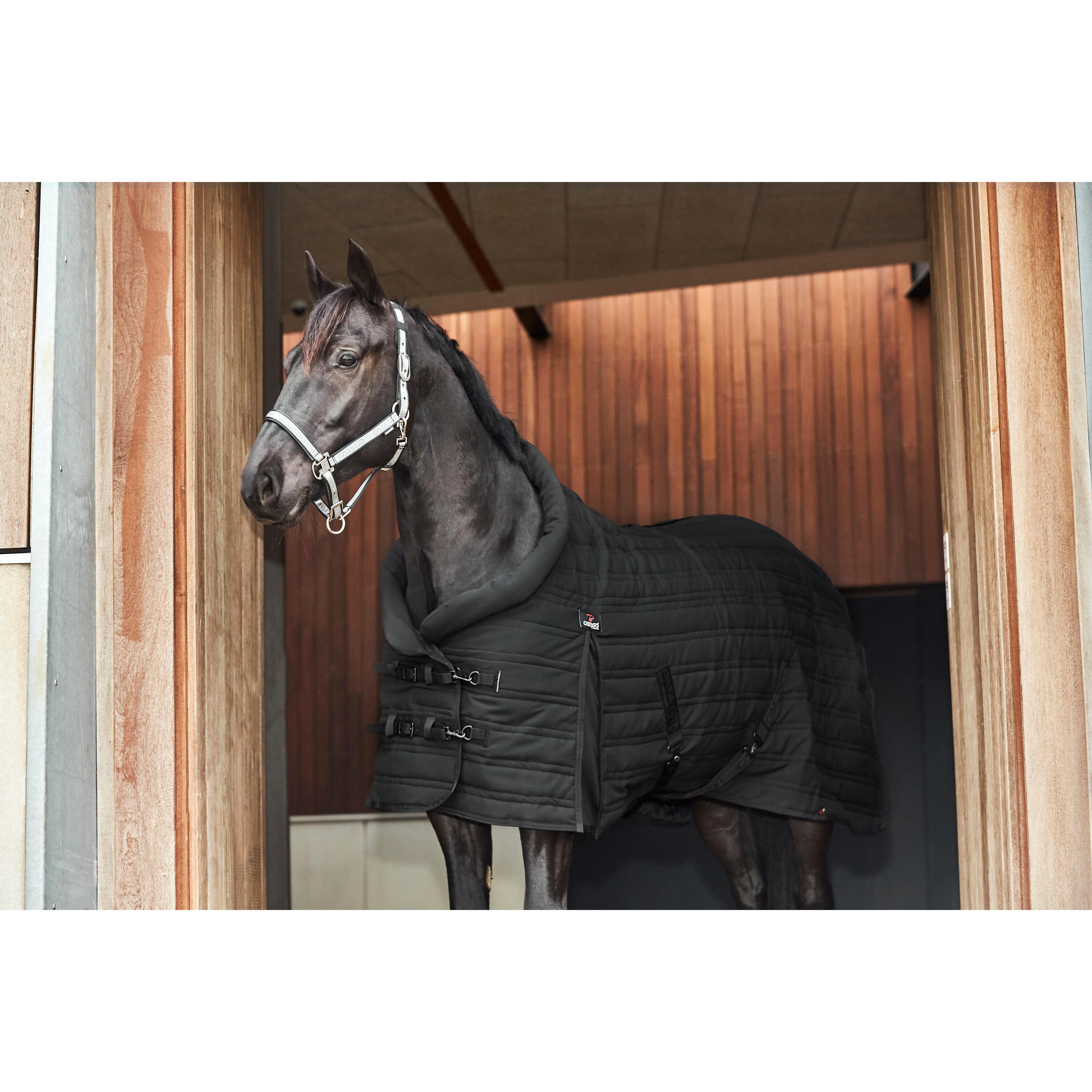 Stalldecke Catago Hybrid 2/3