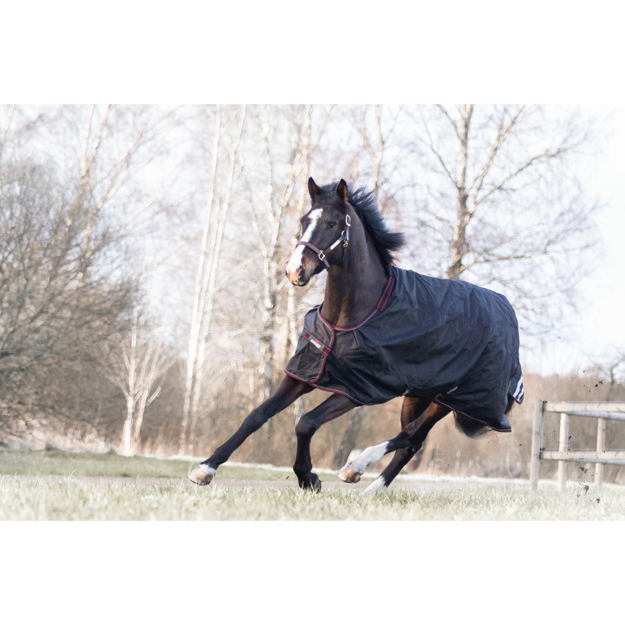 Couverture Extérieure Cheval Catago Endurance 1680D 300g - Noire