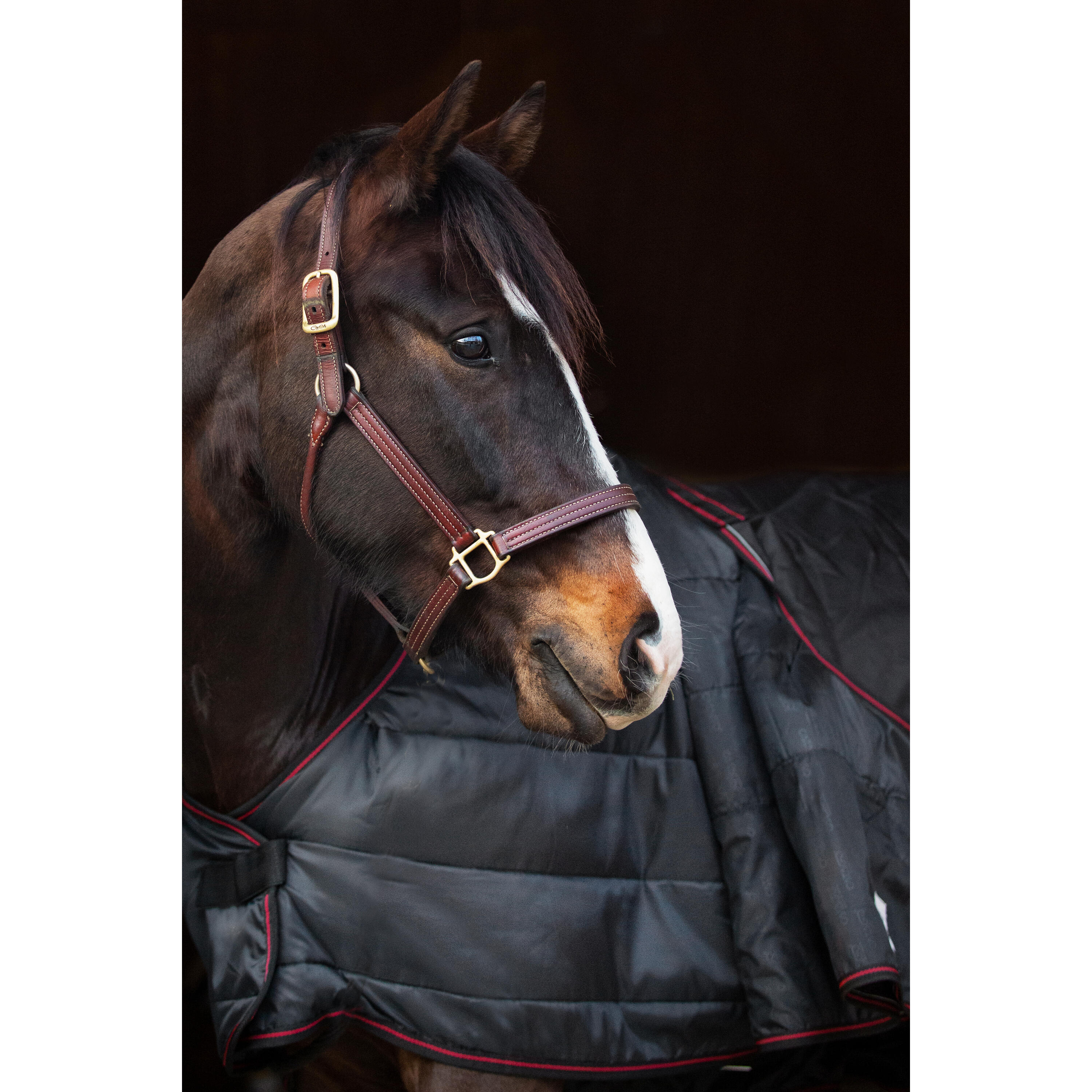 Manta de exterior para caballos Catago Dual Pro 100 g 4/5