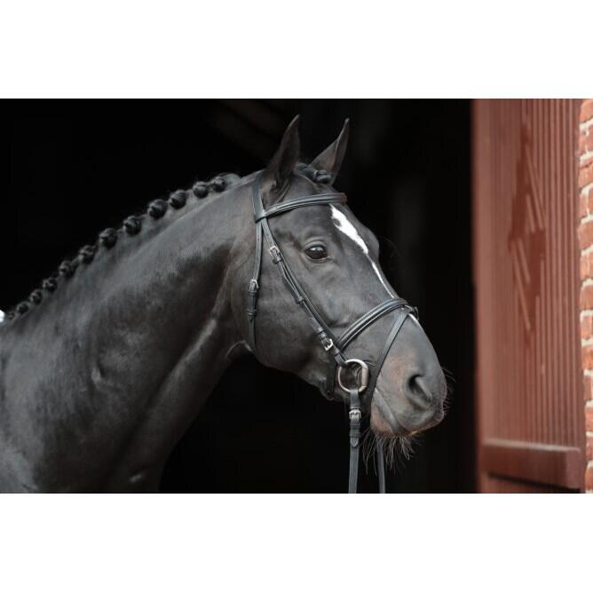Bridon Standard Kerbl 5/5