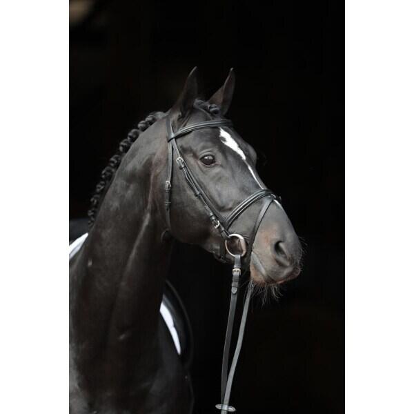 Bridon Standard Kerbl 4/5