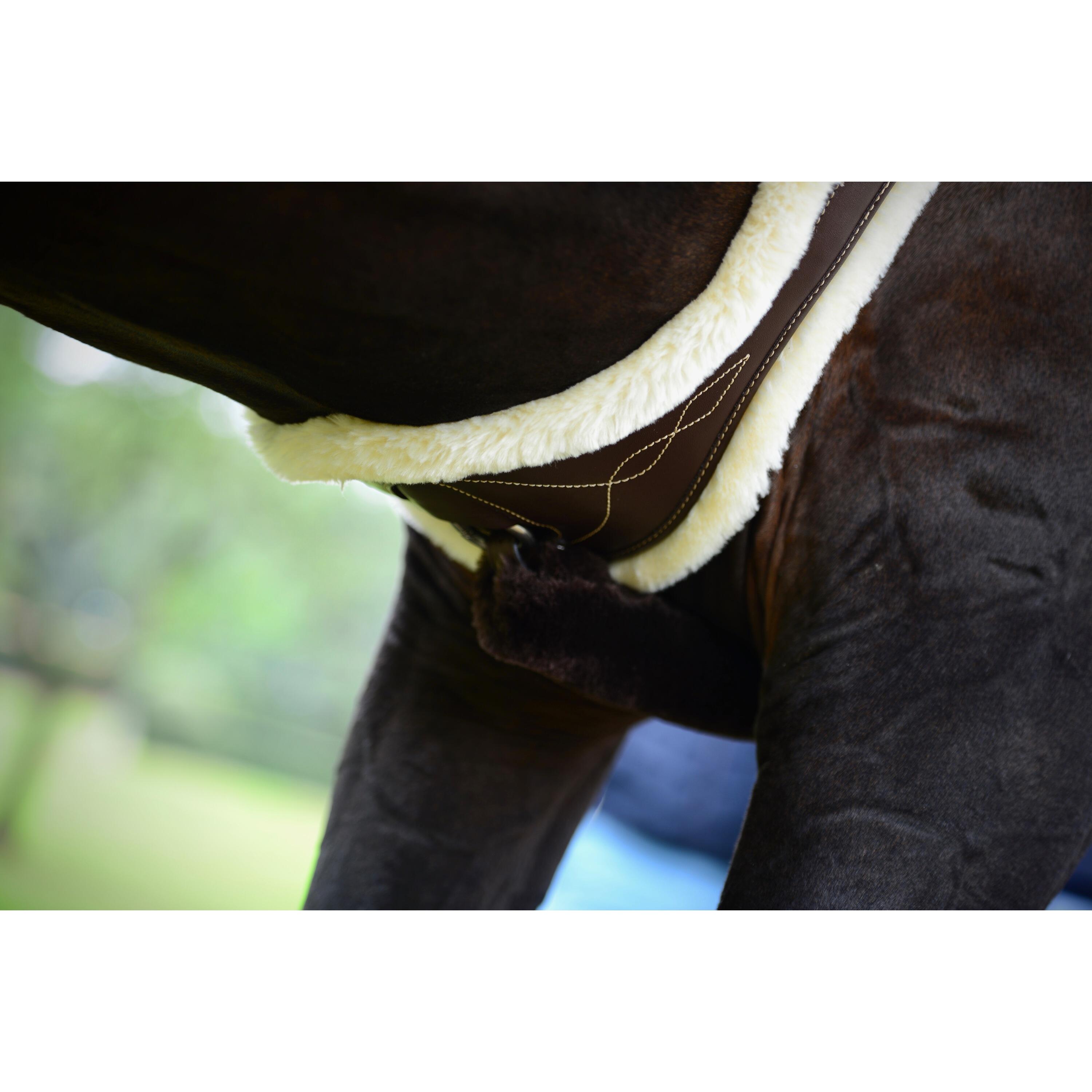 Mouton amovible pour sangle anatomique Kentucky 2/2