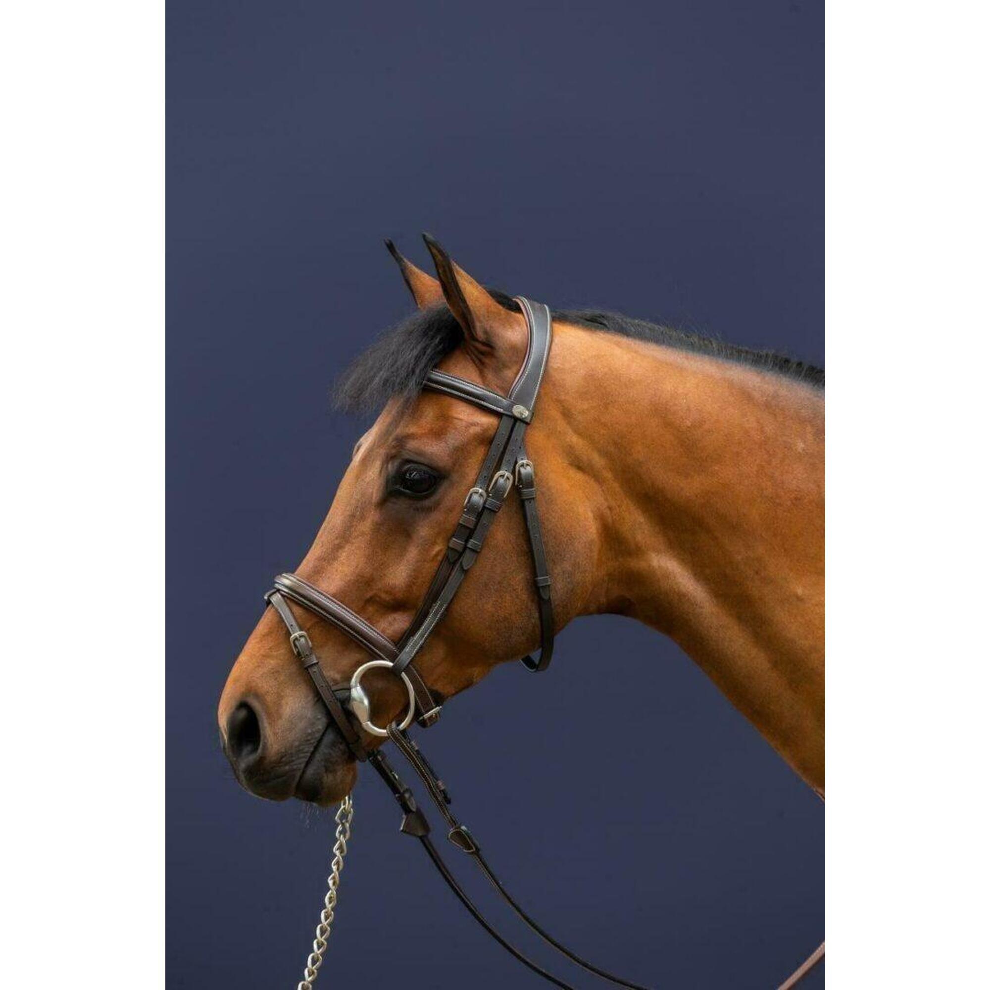 Anatomical riding bridle with Dyon English-combined noseband