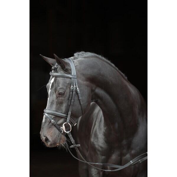 Bridon Classic Kerbl 2/4