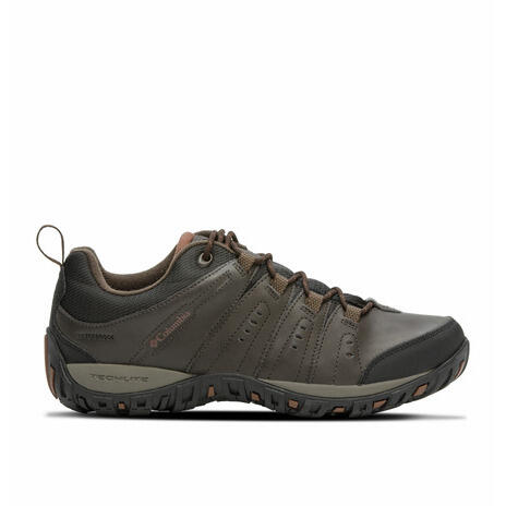 Trekking-Schuhe Mann Columbia Woodburn™ II Waterproof Braun