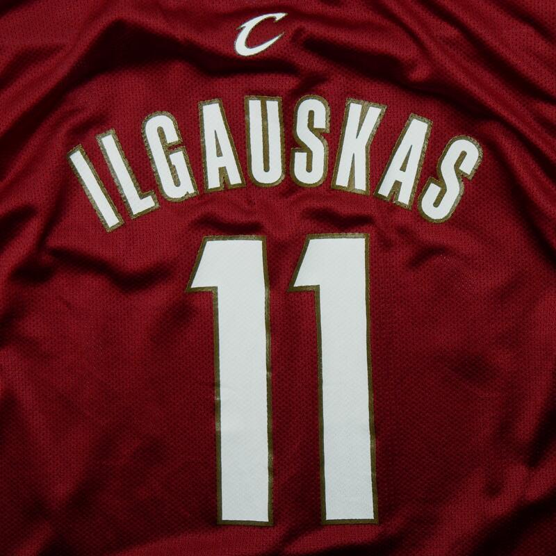 Camiseta de la NBA de Zydrunas Ilgauskas de los Cleveland Cavaliers de Reebok