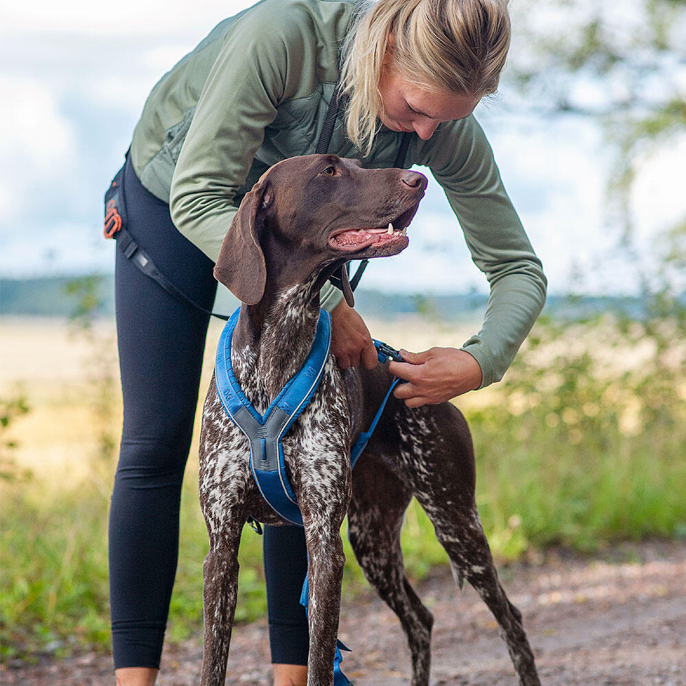 Harnais pour chien ergonomique et polyvalent Non-stop dogwear Line harness 5.0 2/3