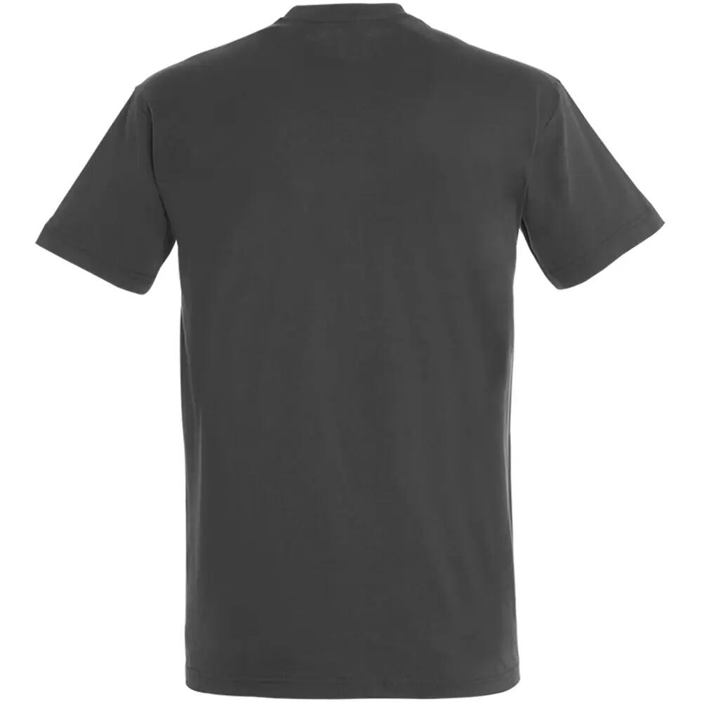 Imperial TShirt, Kurzarm Herren Dunkelgrau 2/3