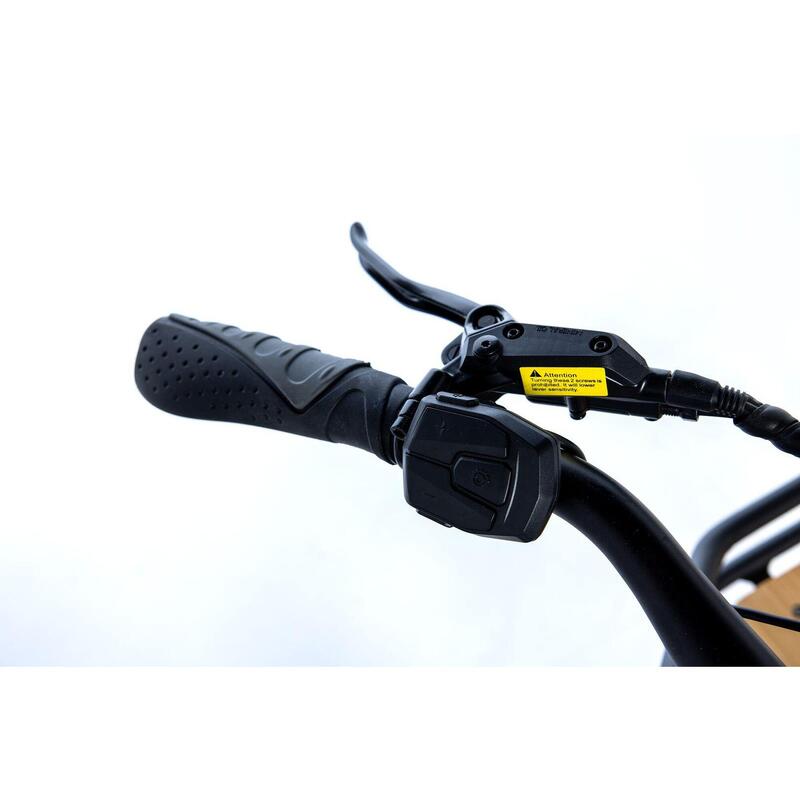 Bicicletă cargo electrică, E-Long Tail Autonomie până la 90 km