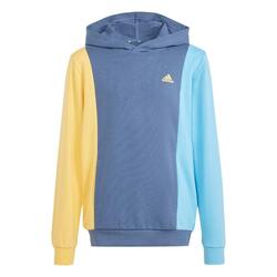 Sweat-shirt à capuche Essentials Colorblock Enfants