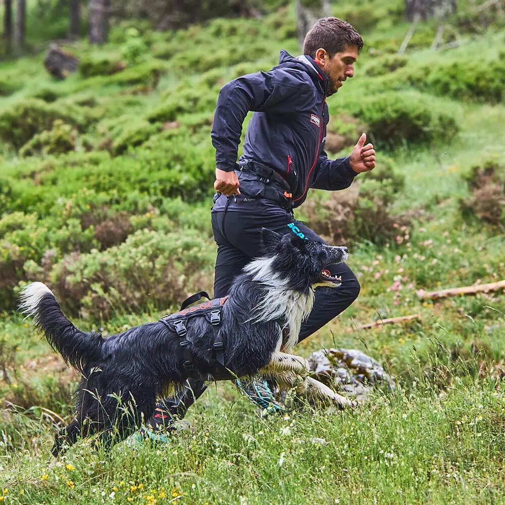 Harnais respirant polyvalent Harnais non-stop pour chiens Harnais Rock long 6/7