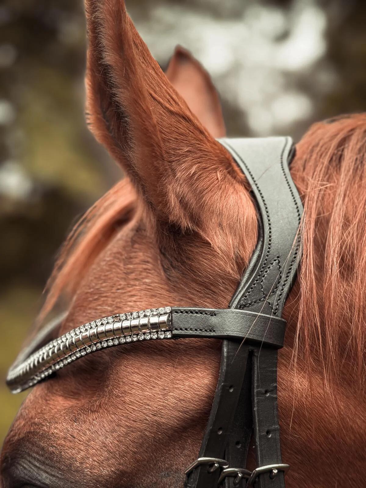 START Selene anatomisch leren hoofdstel voor paarden 3/7