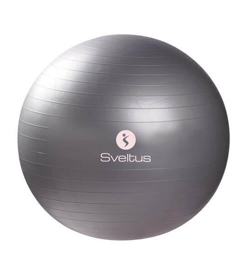 Gymballs | Gymball Gris (65cm)