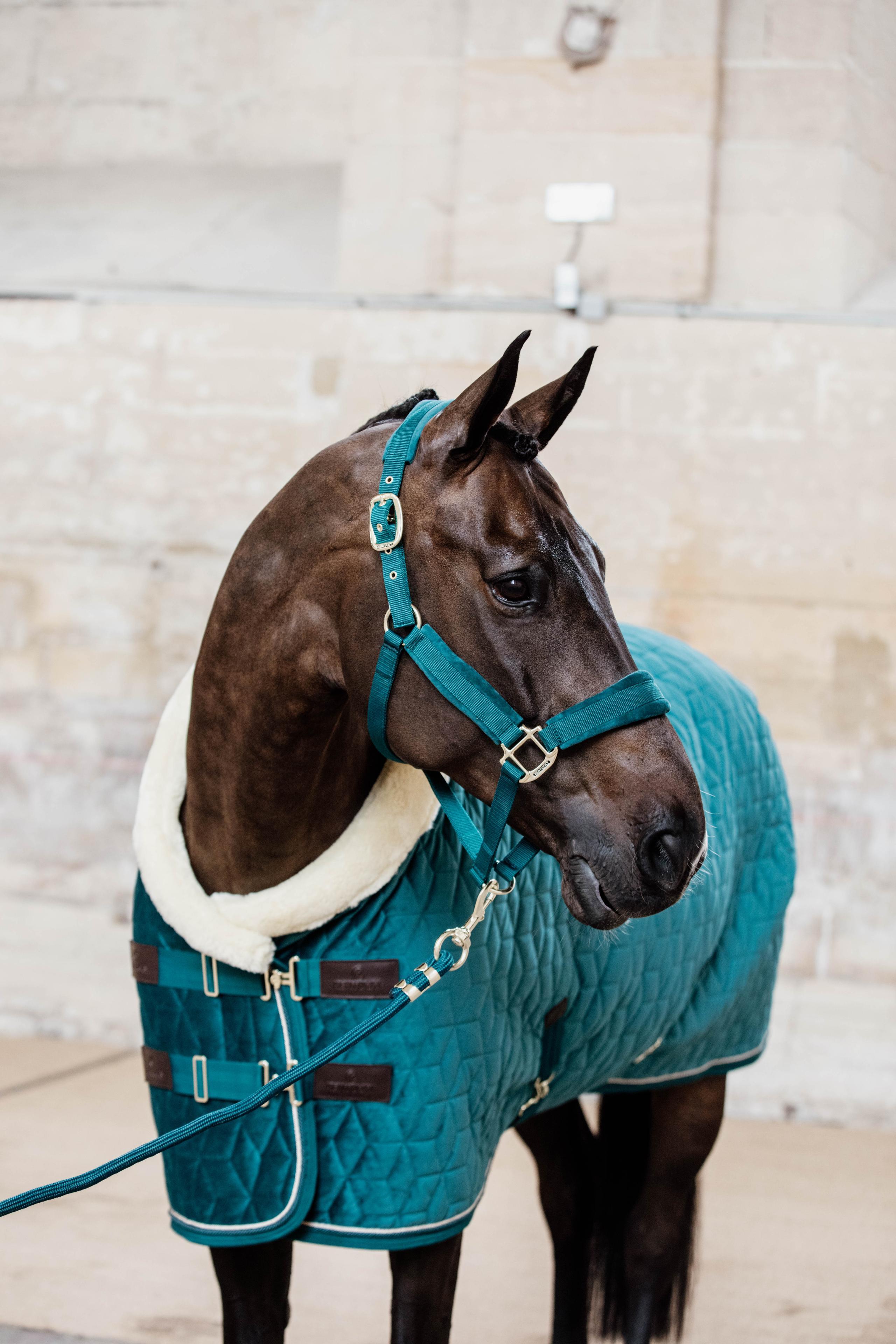 Paardenlijn rope smaragd 2m 3/7