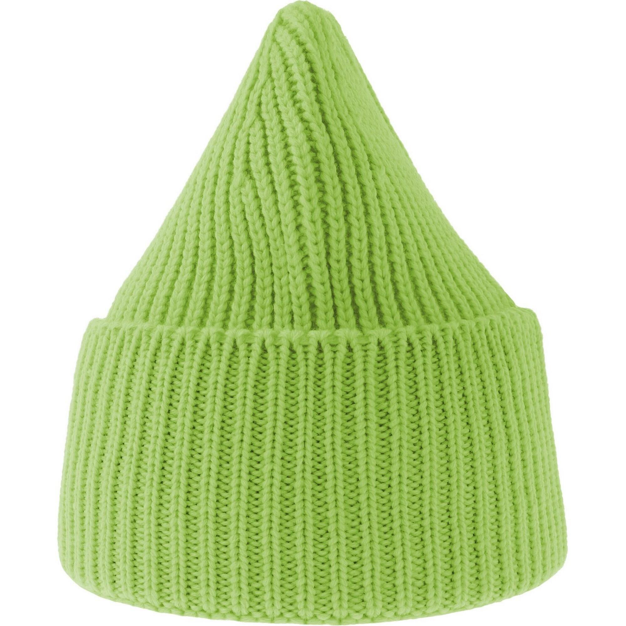 Unisex Adult Oak Chunky Knit Beanie (Acid Green) 3/3