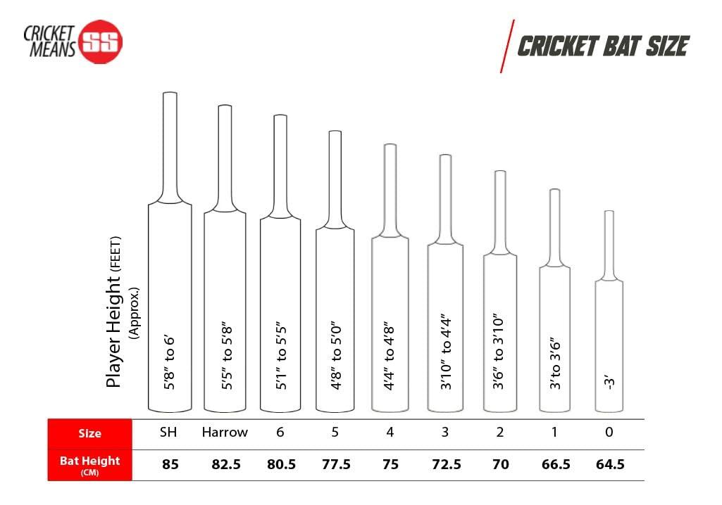 SS Custom English Willow Cricket Bat | Farbe: Beige | Für Männer und Jungen 5/5