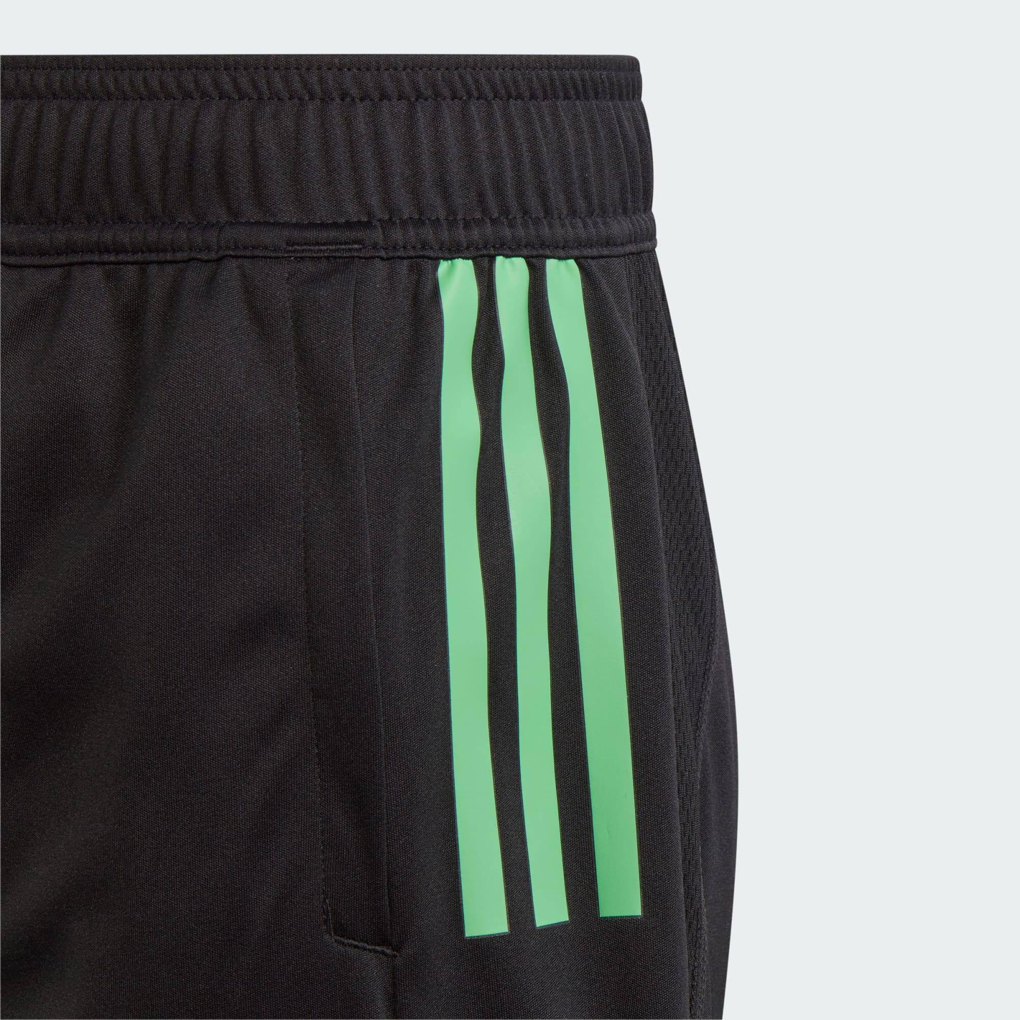 Pantalón corto entrenamiento FC Bayern Tiro 23 (Adolescentes) 5/5