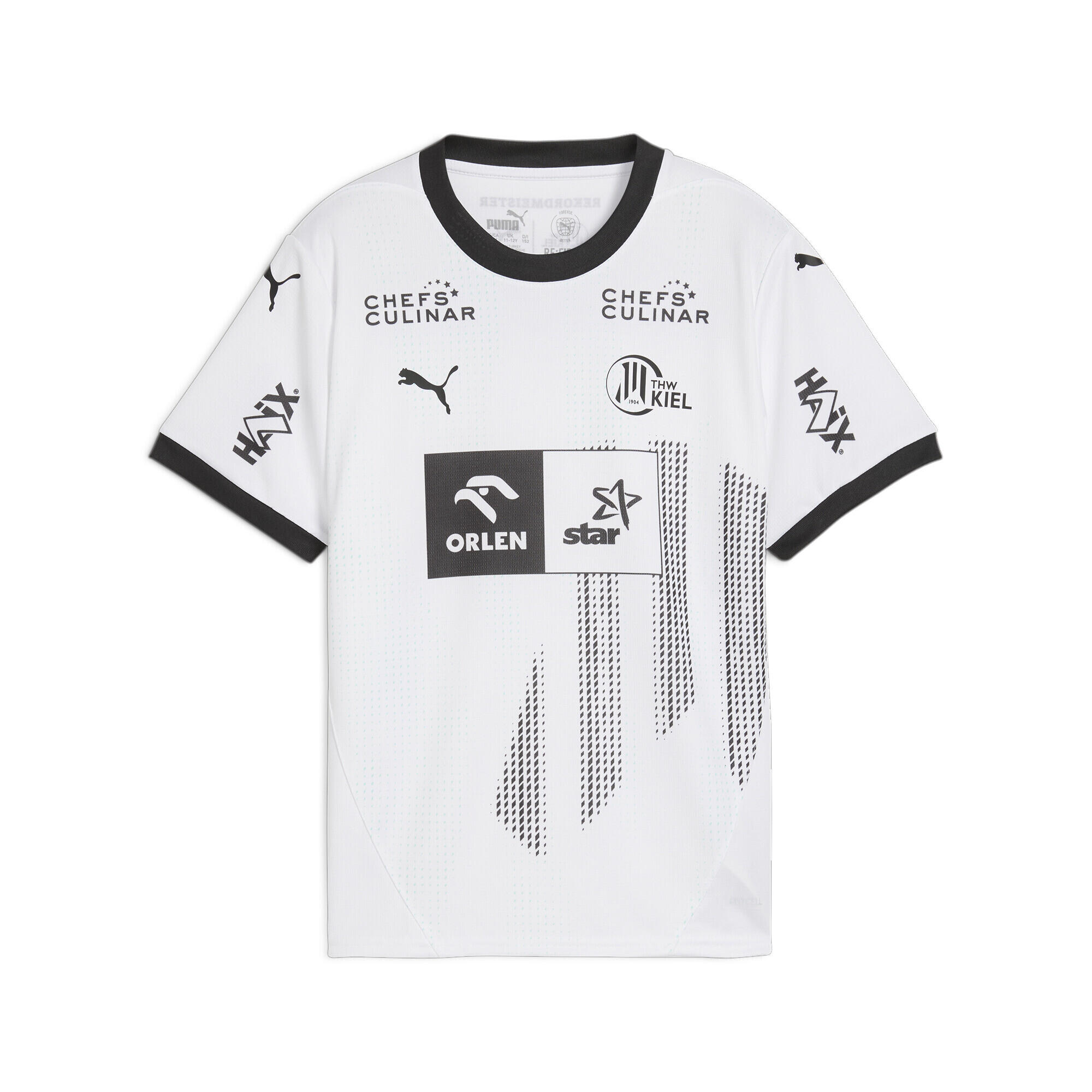 PUMA picture