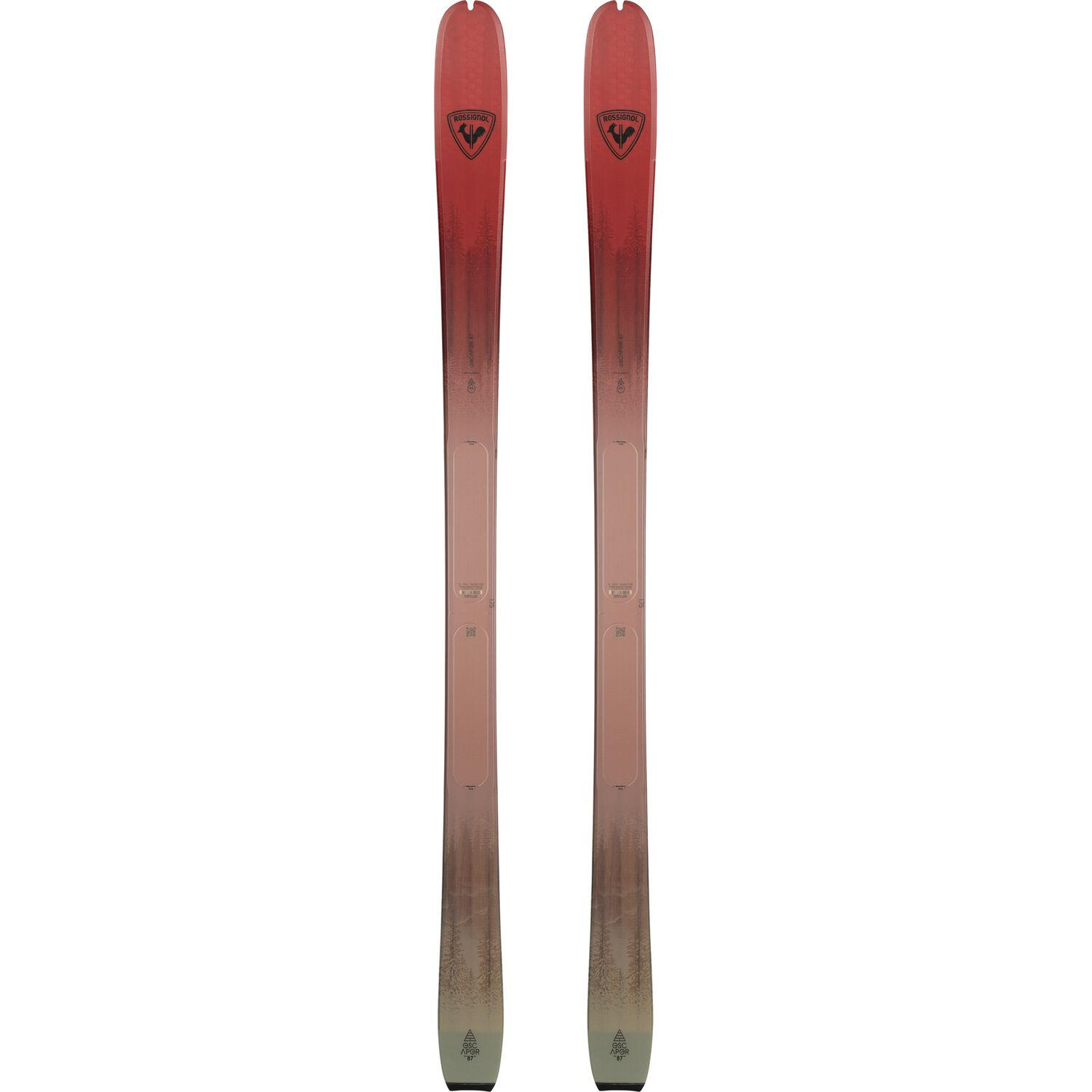 ROSSIGNOL picture