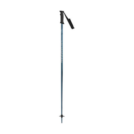 Batons De Ski Tactic Blue