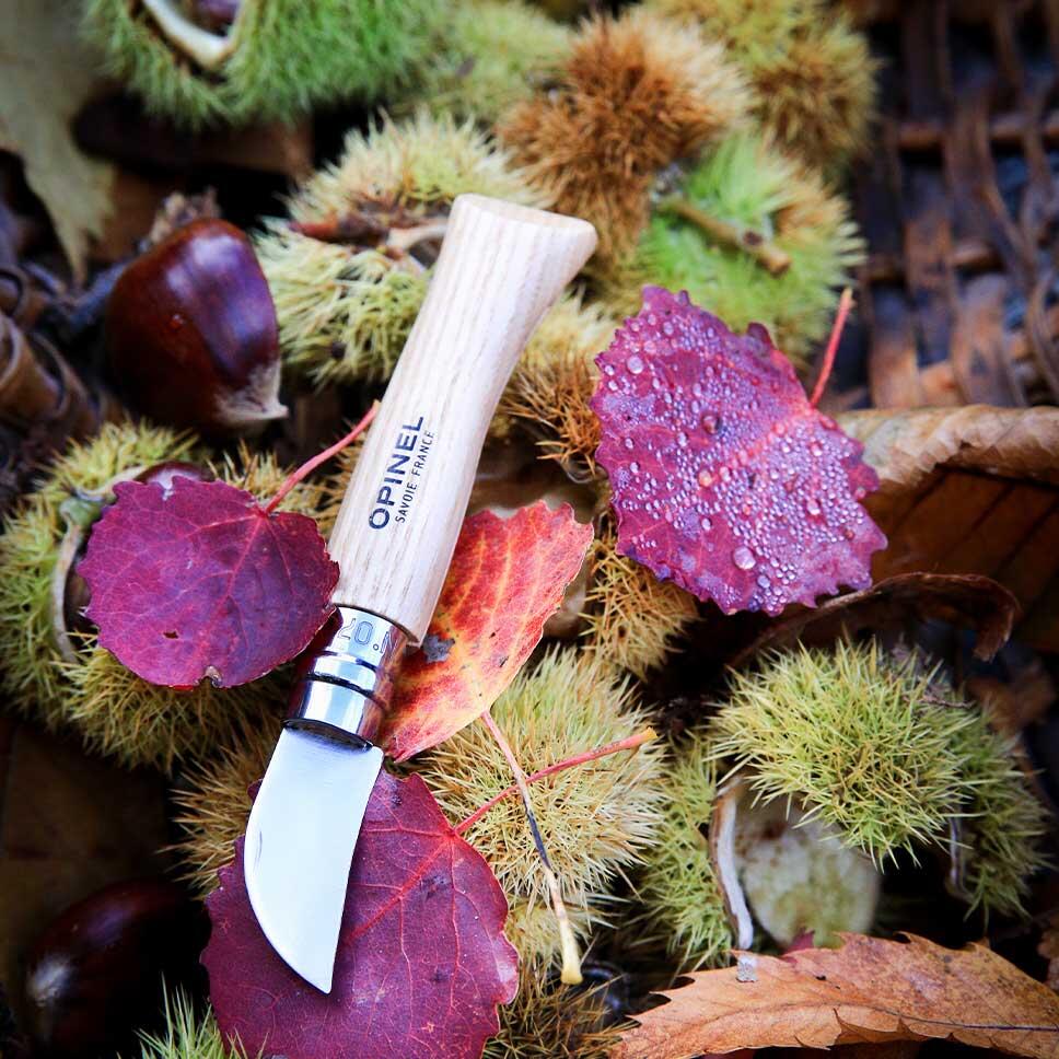 Couteau Opinel N°07 Châtaignes,  Ail et dénoyautage - Manche Chataignier 3/5